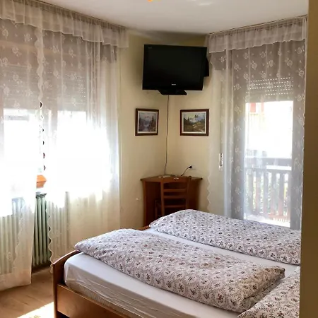 Stella Alpina 2* Voltago