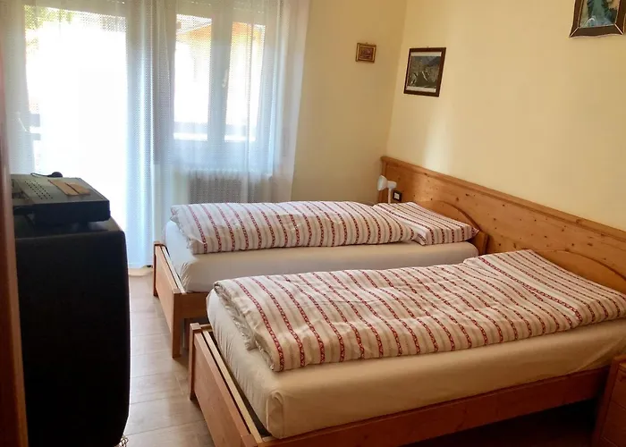 Stella Alpina Voltago